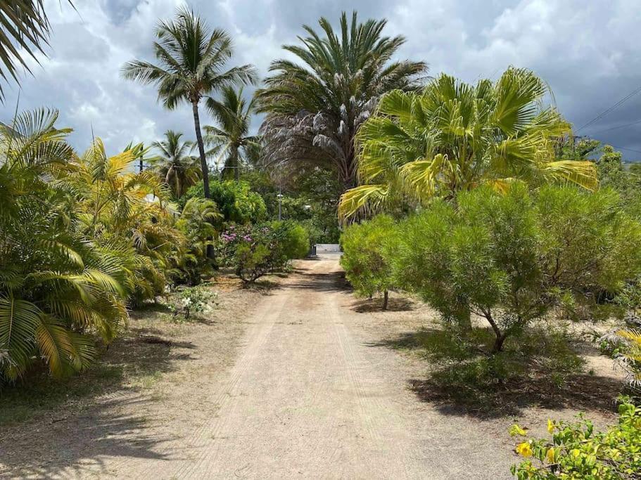 Villa Coco des sables accès direct au lagon La Saline Le Bains Extérieur photo